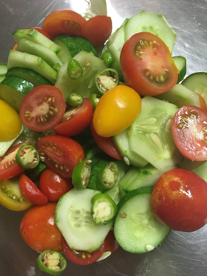 我が家の庭で夏野菜が色々できています。